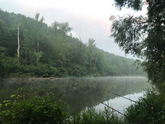 Zwickauer Mulde (Wolkenburg)-4