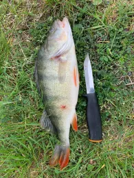 Elbe-Seitenkanal (Emmendorf)