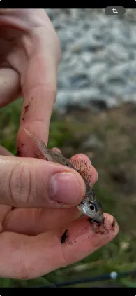 Elbe-Seitenkanal (Emmendorf)-1