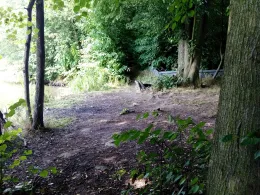 Speicher Brandrübel-3