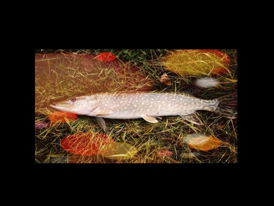 Steinbruch am Gützer Berg (Landsberg)-1