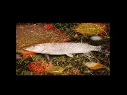 Steinbruch am Gützer Berg (Landsberg)-1