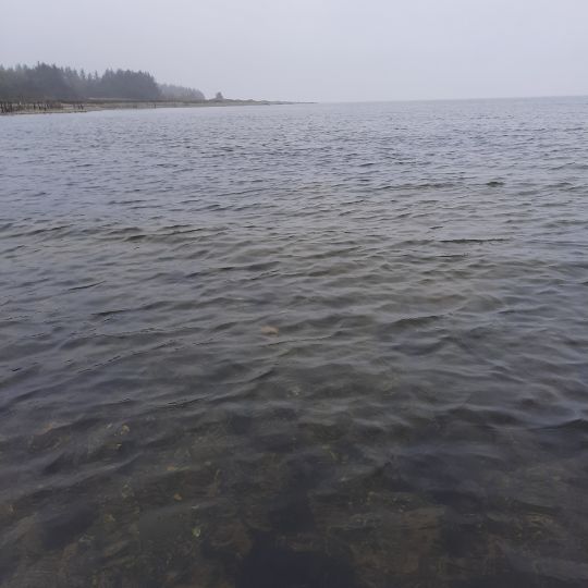 Limfjord angeln