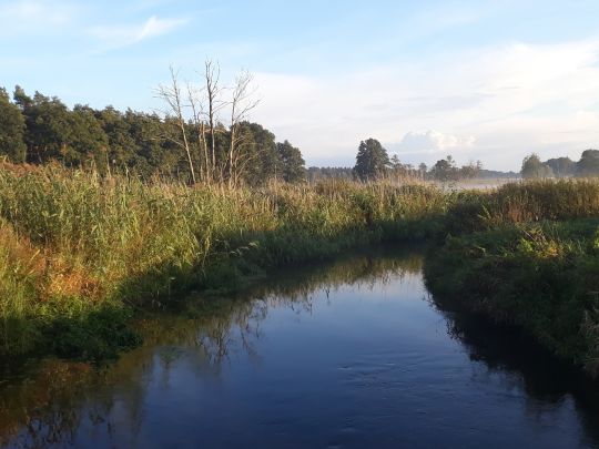 Schaale-4