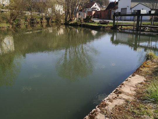 Itz (Weißenbrunn)-1