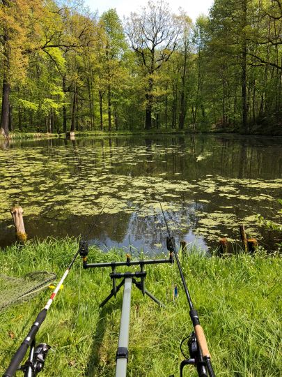 Teichanlage Arnsdorf