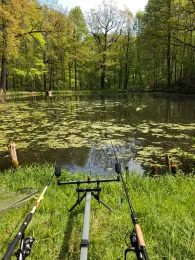 Teichanlage Arnsdorf