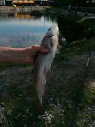 Angelpark Diersheim-1