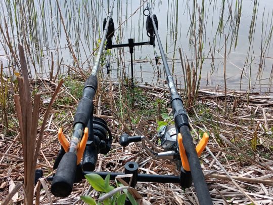 Oderlöcher Wellmitz-3