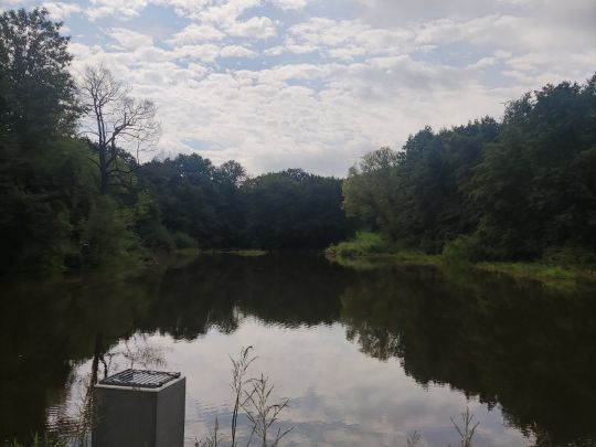 Ütschenteich (Darlingerode)