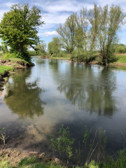 Lippe (Benninghausen)-2