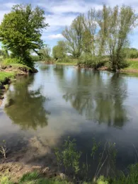 Lippe (Benninghausen)-2