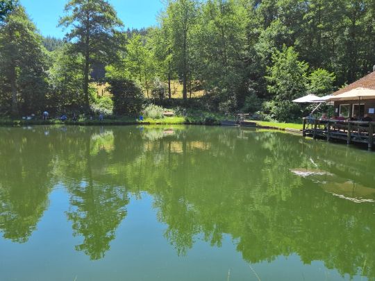 Schwarzbachweiher Biebergemünd-2