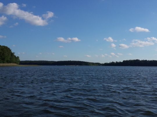 Großer Rheinsberger See angeln