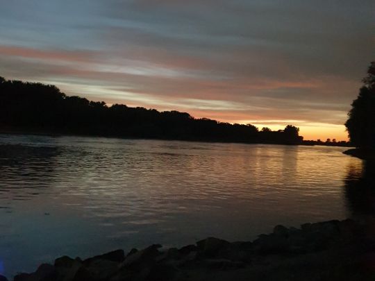 Rhein (Altlußheim-Rheinhausen)-1