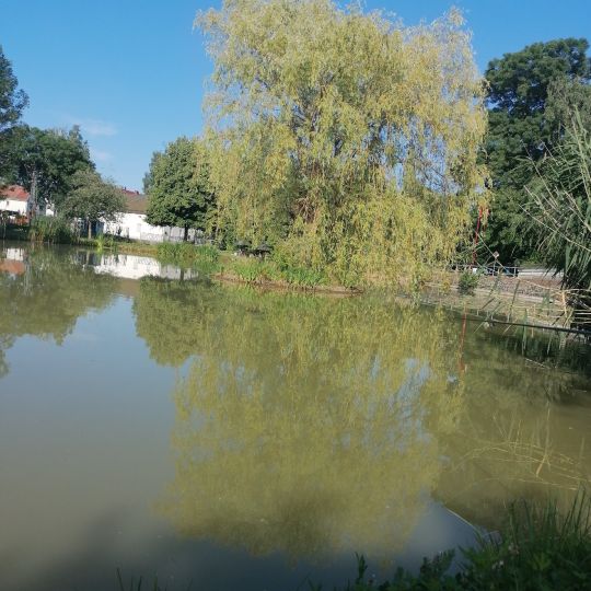 Feuerlöschteich Ablaß-3