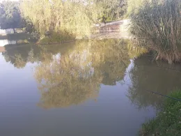 Feuerlöschteich Ablaß