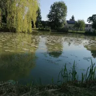 Feuerlöschteich Ablaß-1