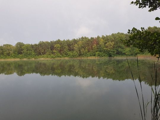 Heidereutersee