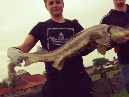 Angelteiche Dinker-2