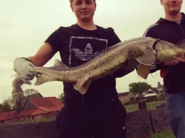 Angelteiche Dinker-1