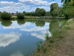 Riesno-Teich (Calau)