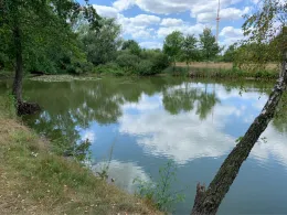 Riesno-Teich (Calau)-1