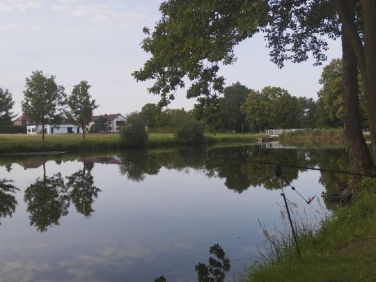 Riesno-Teich (Calau)-3