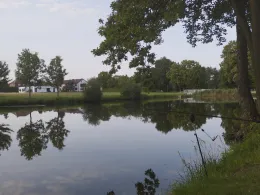 Riesno-Teich (Calau)-3