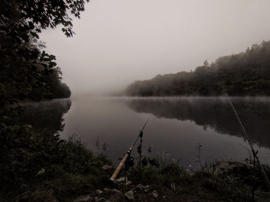 Pfreimdstausee Trausnitz-4
