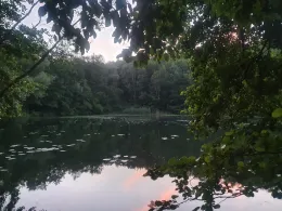 Mittelsee (Erftstadt)