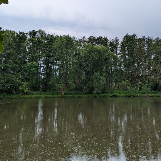 Dorfteich Bornitz