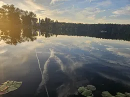 Königsee (Zellhausen)-3