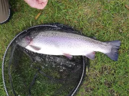 Königsee (Zellhausen)