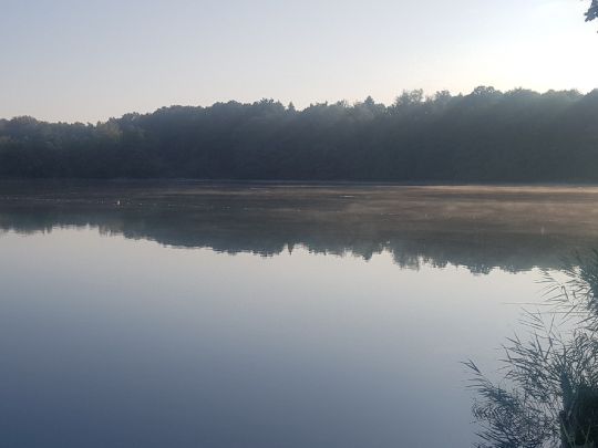 Königsee (Zellhausen)-1
