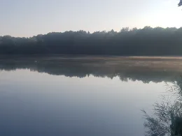 Königsee (Zellhausen)-1