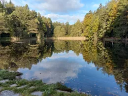 Silberbachstau (Schneeberg)-2
