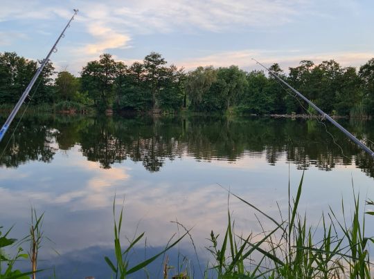 Kiesgruben Gömnigk-4