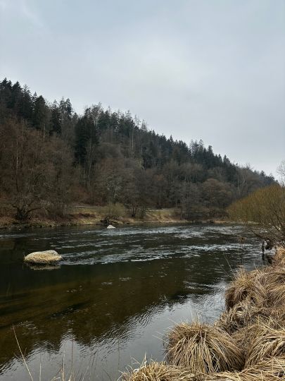 Regen (Marienthal-Stefling)-3