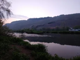 Mosel (Brauneberg-Mülheim)-2