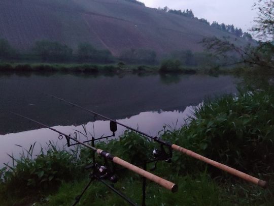 Mosel (Brauneberg-Mülheim)-1