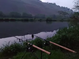 Mosel (Brauneberg-Mülheim)-1