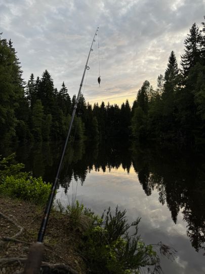 Steinbruch Reitsteigweg-4