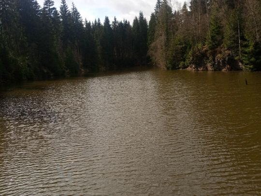 Steinbruch Reitsteigweg-2