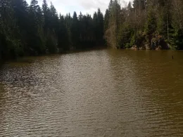 Steinbruch Reitsteigweg-2