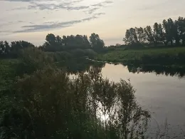 Untere Barthe (Barth)-1