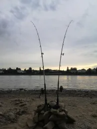 Rhein (Königswinter)