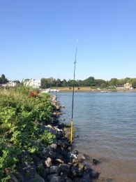 Rhein (Königswinter)-3