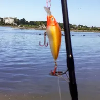 Rhein (Königswinter)-2