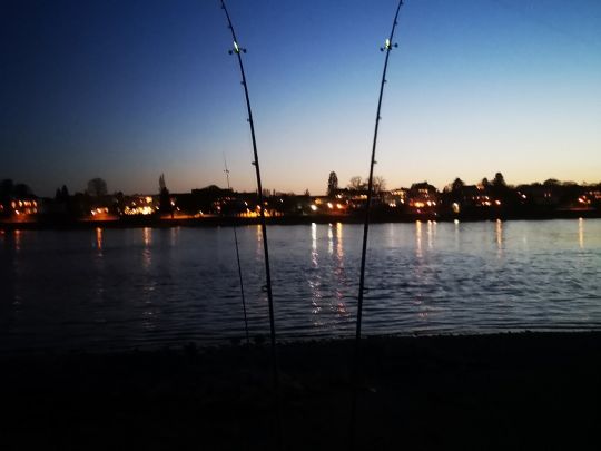 Rhein (Königswinter)-1